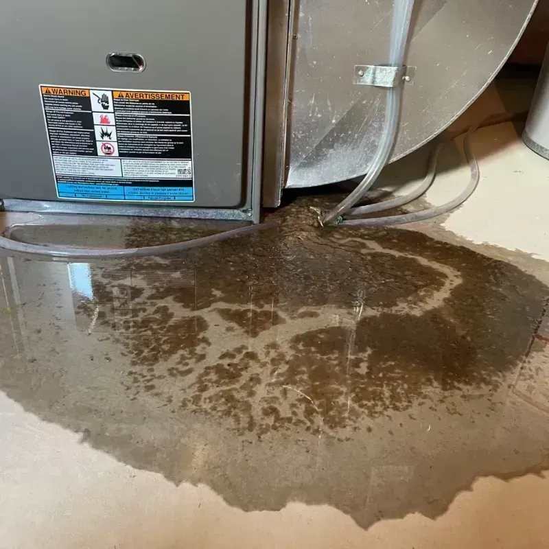 Appliance Leak Cleanup in Verde Village, AZ